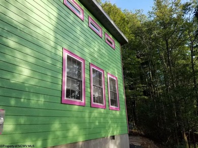 Investment Opportunity in the Heart of Thomas, WV! Discover a - photo 31