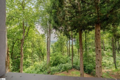 Cozy, yet open with delightful natural daylight and mountain and - photo 32