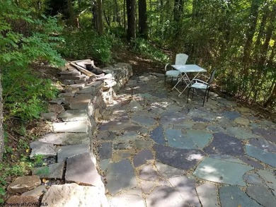 Investment Opportunity in the Heart of Thomas, WV! Discover a - photo 34
