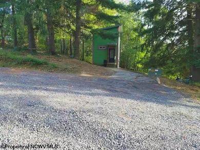 Investment Opportunity in the Heart of Thomas, WV! Discover a - photo 35