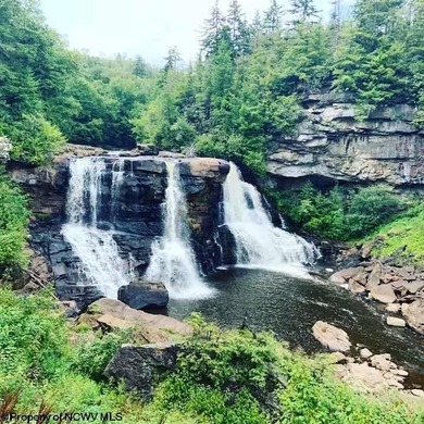 Investment Opportunity in the Heart of Thomas, WV! Discover a - photo 36