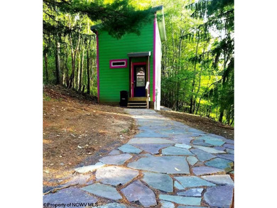 Investment Opportunity in the Heart of Thomas, WV! Discover a - photo 39