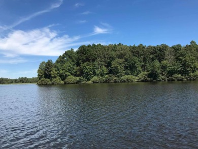 Indian Lake Acreage For Sale in Cedar Grove Tennessee