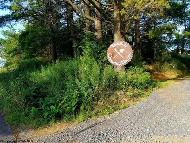 Investment Opportunity in the Heart of Thomas, WV! Discover a - photo 41