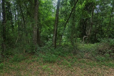 Build your dream home on this canal lot boasting direct access - photo 3