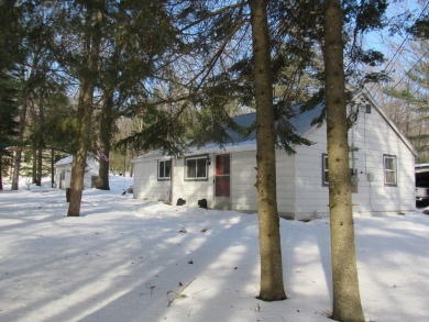 Lake Home For Sale in Prudenville, Michigan