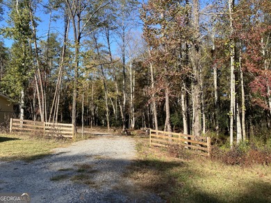 Lake Acreage For Sale in Clarkesville, Georgia