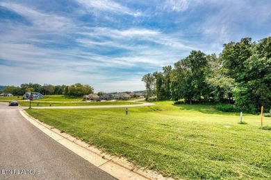 This beautiful corner lot in Tennessee National offers the - photo 19
