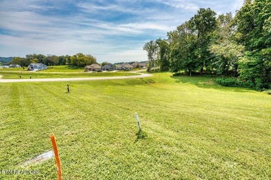 This beautiful corner lot in Tennessee National offers the - photo 20