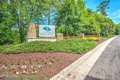 This beautiful corner lot in Tennessee National offers the - photo 28