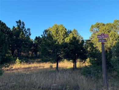 Pecos River Lot Sale Pending in Pecos New Mexico