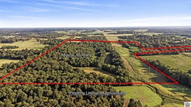 80 acres of opportunity await! Tillable farmland paired with - photo 2