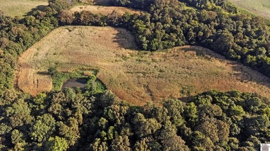 80 acres of opportunity await! Tillable farmland paired with - photo 3