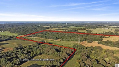 80 acres of opportunity await! Tillable farmland paired with - photo 4