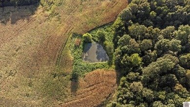 80 acres of opportunity await! Tillable farmland paired with - photo 6