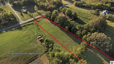 80 acres of opportunity await! Tillable farmland paired with - photo 9