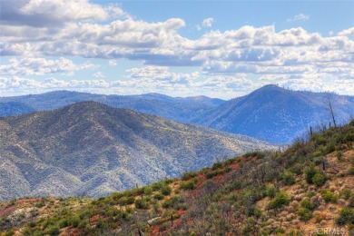 Lake Acreage For Sale in Berry Creek, California