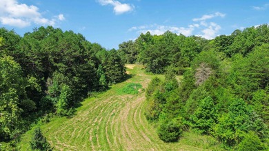 25 Unrestricted Acres in the SWHS School District! A true rare - photo 11