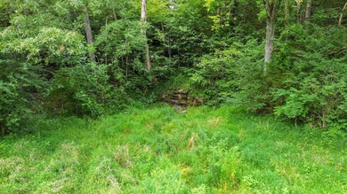 25 Unrestricted Acres in the SWHS School District! A true rare - photo 13