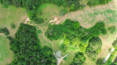 25 Unrestricted Acres in the SWHS School District! A true rare - photo 15