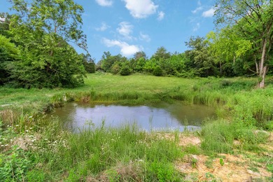 25 Unrestricted Acres in the SWHS School District! A true rare - photo 18