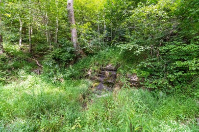 25 Unrestricted Acres in the SWHS School District! A true rare - photo 20
