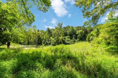 25 Unrestricted Acres in the SWHS School District! A true rare - photo 21