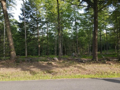 Oaks Pond  Lot For Sale in Skowhegan Maine