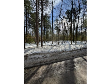 Lake Lot For Sale in Indian River, Michigan