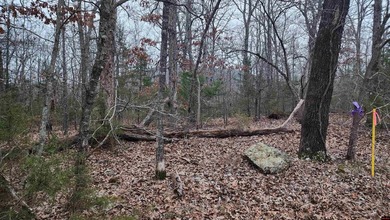 Discover these small acreage lots in Bull Shoals! Zoned R1 and - photo 22