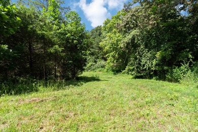 25 Unrestricted Acres in the SWHS School District! A true rare - photo 23