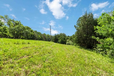 25 Unrestricted Acres in the SWHS School District! A true rare - photo 24