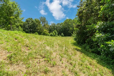 25 Unrestricted Acres in the SWHS School District! A true rare - photo 26