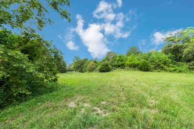 25 Unrestricted Acres in the SWHS School District! A true rare - photo 27