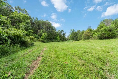 25 Unrestricted Acres in the SWHS School District! A true rare - photo 28