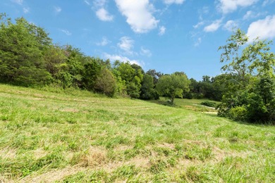 25 Unrestricted Acres in the SWHS School District! A true rare - photo 29