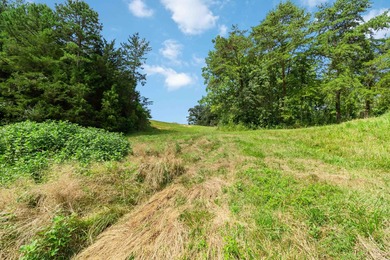 25 Unrestricted Acres in the SWHS School District! A true rare - photo 30