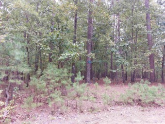Lake Granada Lot For Sale in Hot Springs Village Arkansas