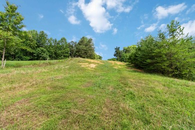 25 Unrestricted Acres in the SWHS School District! A true rare - photo 31