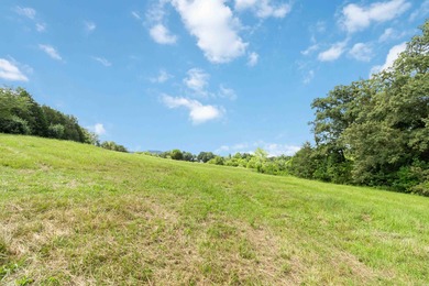 25 Unrestricted Acres in the SWHS School District! A true rare - photo 32