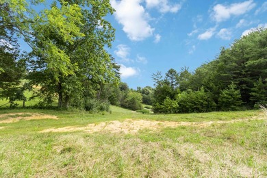 25 Unrestricted Acres in the SWHS School District! A true rare - photo 33