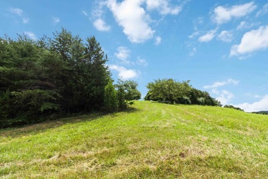 25 Unrestricted Acres in the SWHS School District! A true rare - photo 34