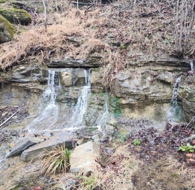 25 Unrestricted Acres in the SWHS School District! A true rare - photo 36