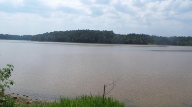 Strom Thurmond / Clarks Hill Lake Acreage Sale Pending in Elberton Georgia