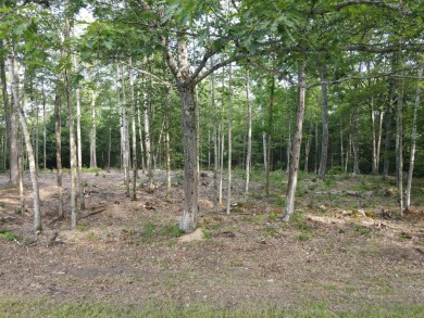 Oaks Pond  Lot For Sale in Skowhegan Maine