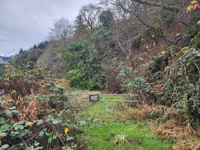 Secluded 33.55 Acre Homestead with Creek Frontage steps away - photo 2