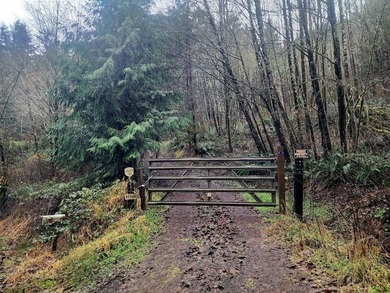 Secluded 33.55 Acre Homestead with Creek Frontage steps away - photo 3
