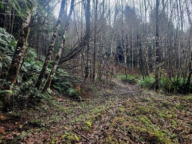 Secluded 33.55 Acre Homestead with Creek Frontage steps away - photo 6