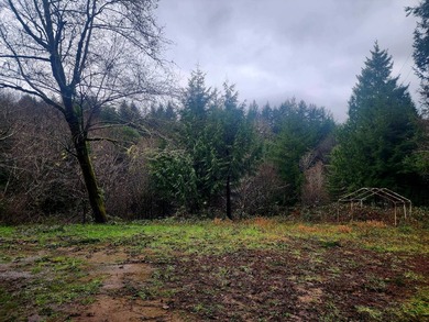 Secluded 33.55 Acre Homestead with Creek Frontage steps away - photo 10