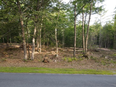 Oaks Pond  Lot For Sale in Skowhegan Maine